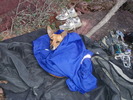 photo thumbnail #7