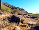 photo thumbnail #3