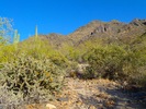 photo thumbnail #9