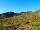 photo thumbnail #10