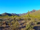 photo thumbnail #13