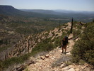 photo thumbnail #3