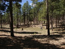 photo thumbnail #12