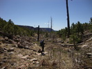 photo thumbnail #13