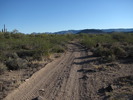 photo thumbnail #2