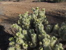 photo thumbnail #6