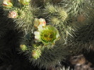 photo thumbnail #7