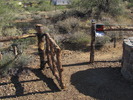 photo thumbnail #9