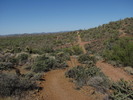 photo thumbnail #12