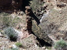 photo thumbnail #14