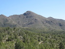 photo thumbnail #5