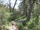 photo thumbnail #8