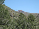 photo thumbnail #10