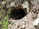photo thumbnail #11