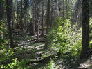 photo thumbnail #3