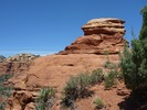 photo thumbnail #8