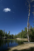 photo thumbnail #12