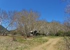 photo thumbnail #6