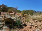 photo thumbnail #9