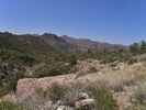 photo thumbnail #10