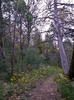 photo thumbnail #11
