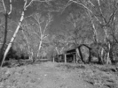 photo thumbnail #13