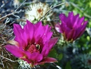 photo thumbnail #15