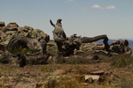 photo thumbnail #15
