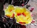 photo thumbnail #2