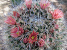 photo thumbnail #4