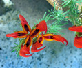 photo thumbnail #8