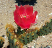 photo thumbnail #9
