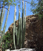 photo thumbnail #10