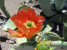 photo thumbnail #11