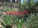 photo thumbnail #14