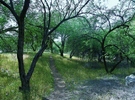 photo thumbnail #1