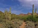 photo thumbnail #9