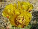 photo thumbnail #11