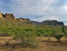 photo thumbnail #13
