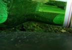 photo thumbnail #15