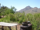 photo thumbnail #10