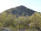 photo thumbnail #11