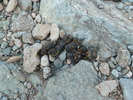 photo thumbnail #14