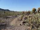 photo thumbnail #2