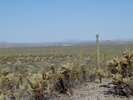 photo thumbnail #4