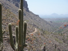 photo thumbnail #7