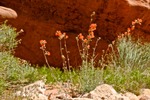 photo thumbnail #13