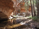 photo thumbnail #13