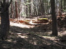 photo thumbnail #6