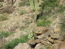 photo thumbnail #7